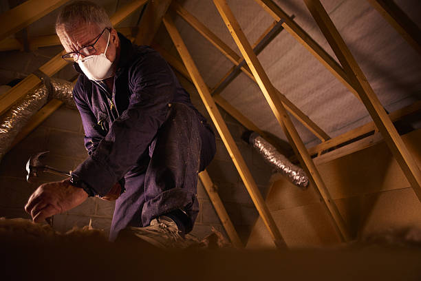 Best Geographic-Specific Insulation Services in Westover, WV