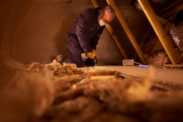 Best Cellulose Insulation in Westover, WV